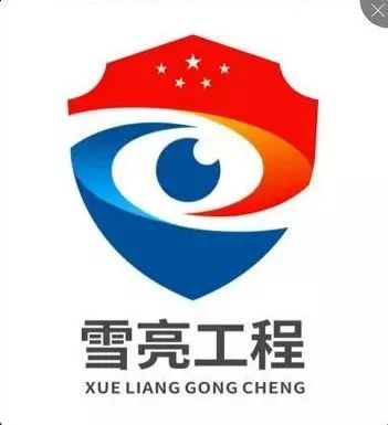 枣庄雪亮工程logo设计征集大赛评选结果公布